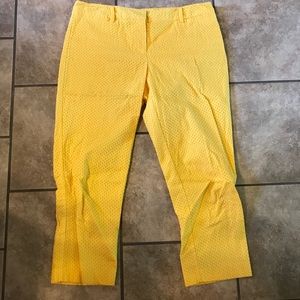 Size 8 New York & Company Capris